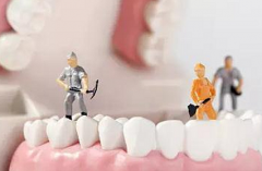 牙体牙髓科抗菌药物使用原则
